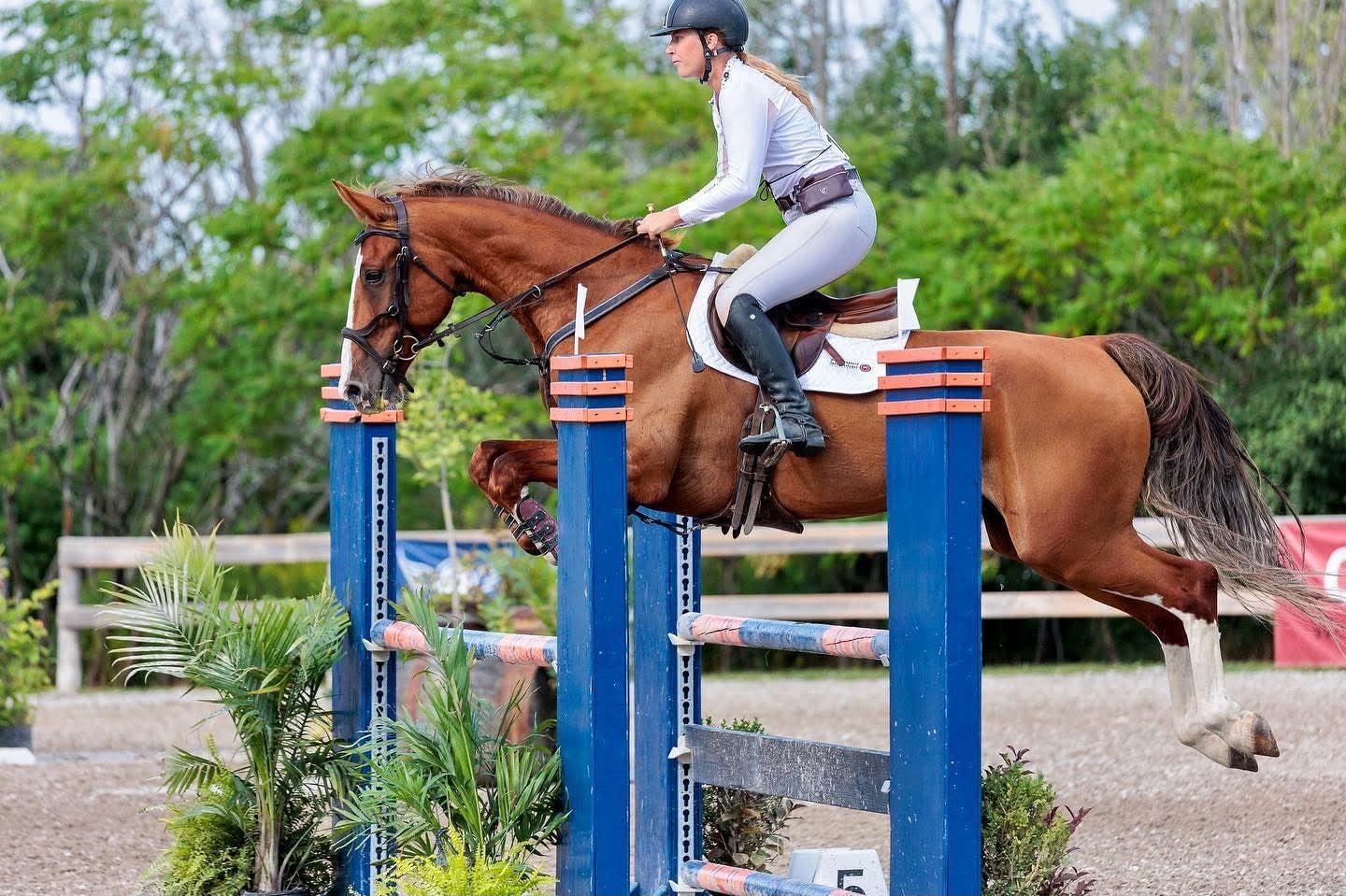Indoor arena at Twisted Equine