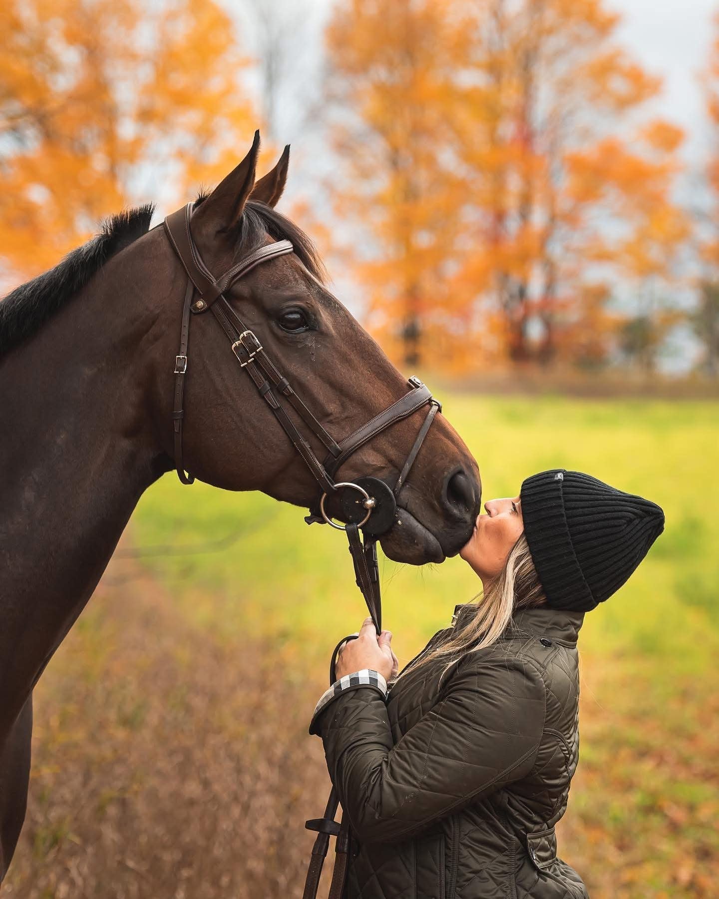 Rehabilitation stable at Twisted Equine