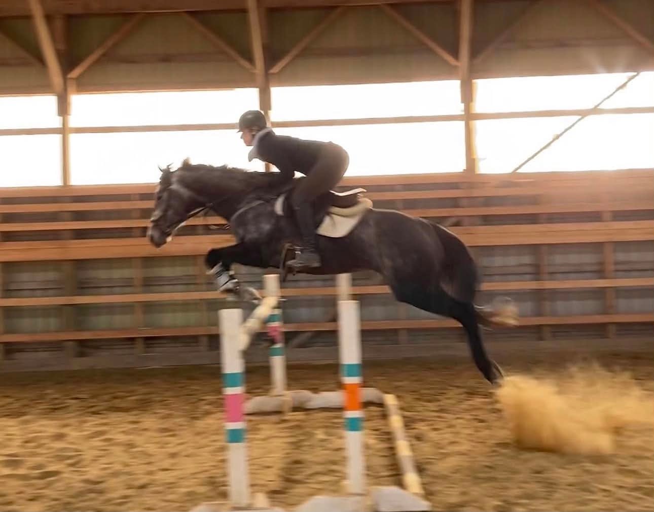 Aly, 2017 OTTB