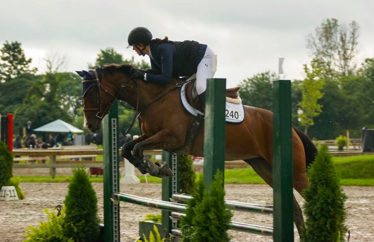 Betty, 2018 OTTB