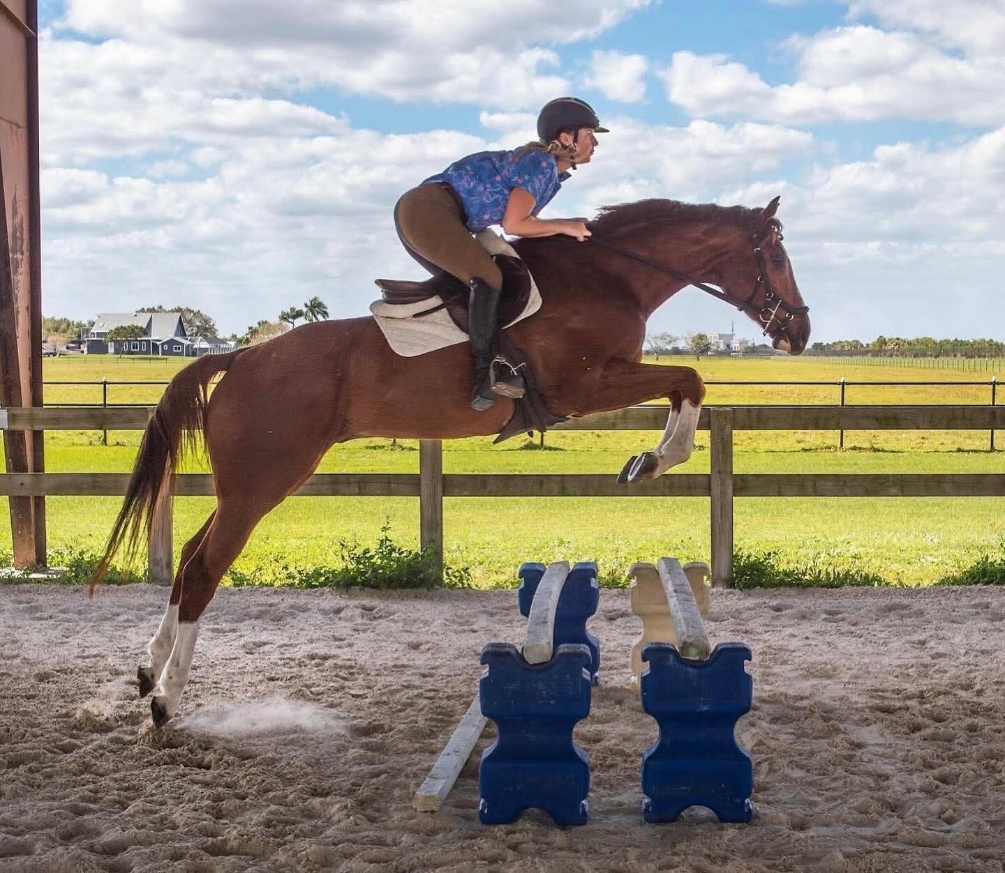 Twisted Cheeto jumping in the arena