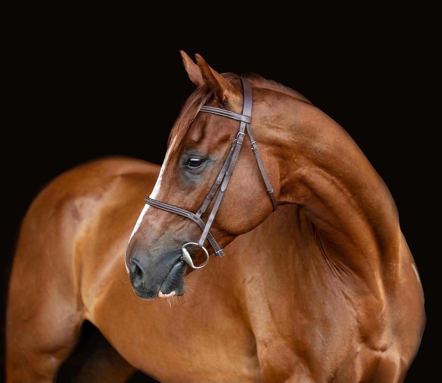 Twisted Cheeto portrait