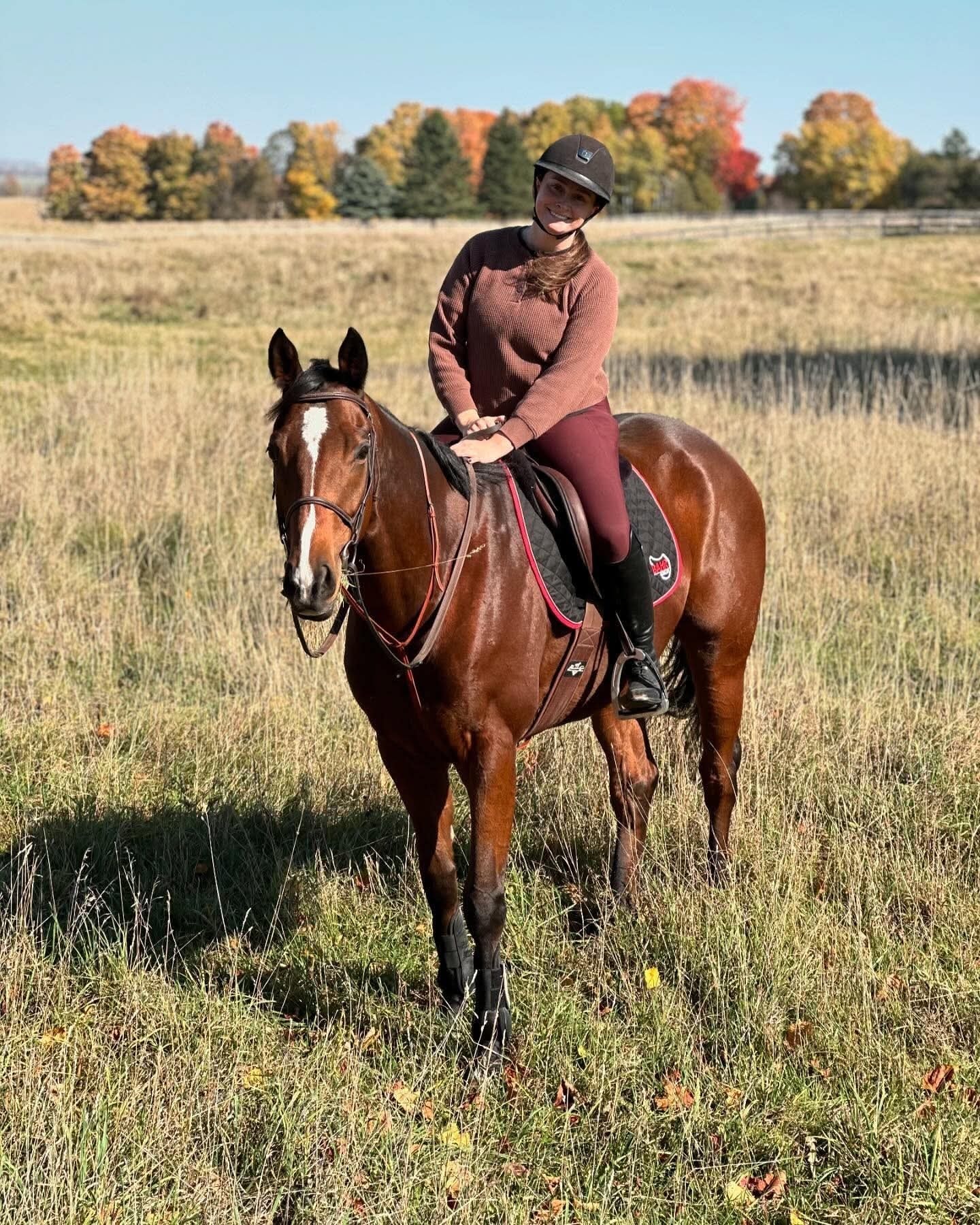Irish, 2017 OTTB