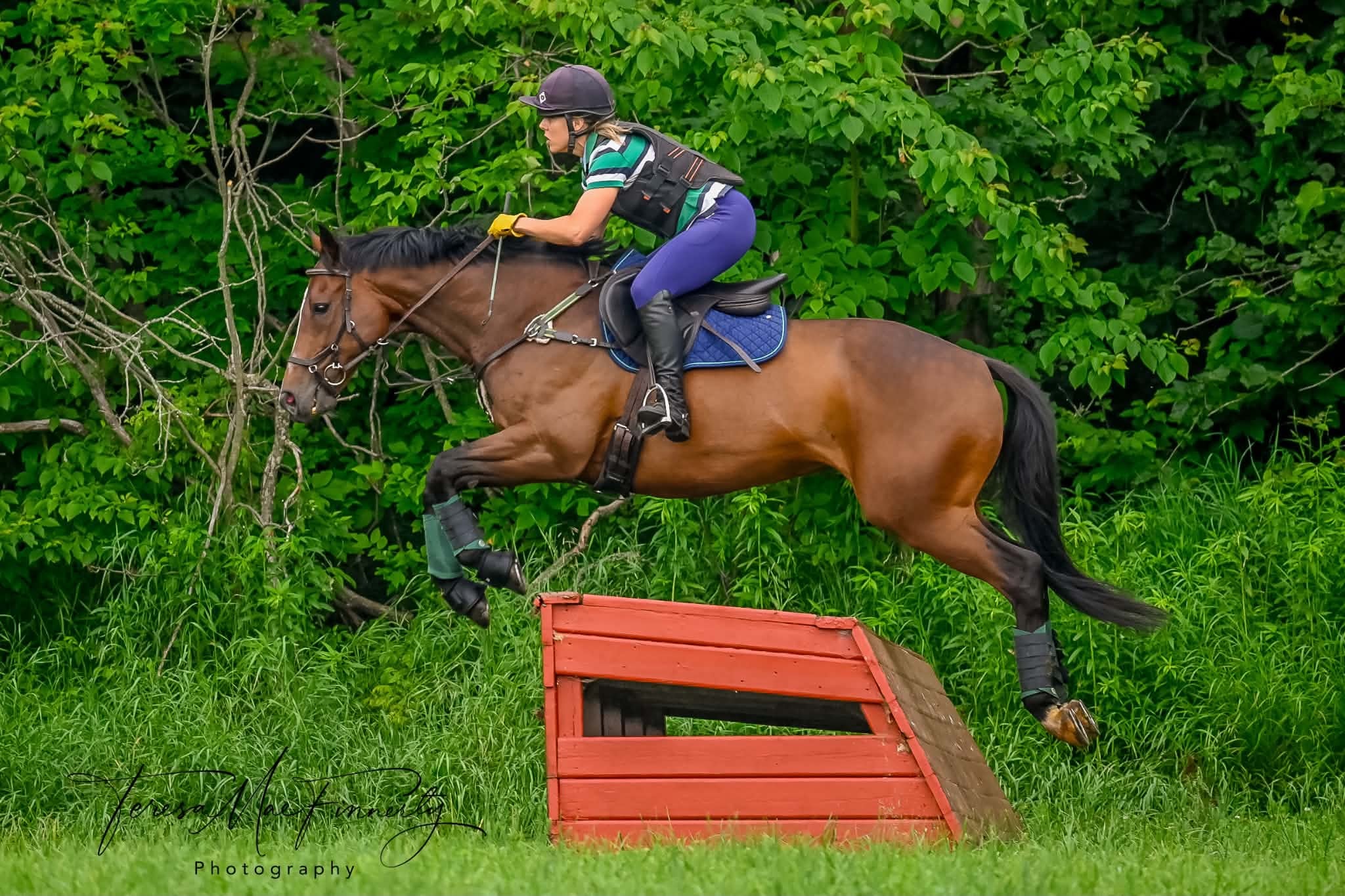 Manny, 2017 OTTB