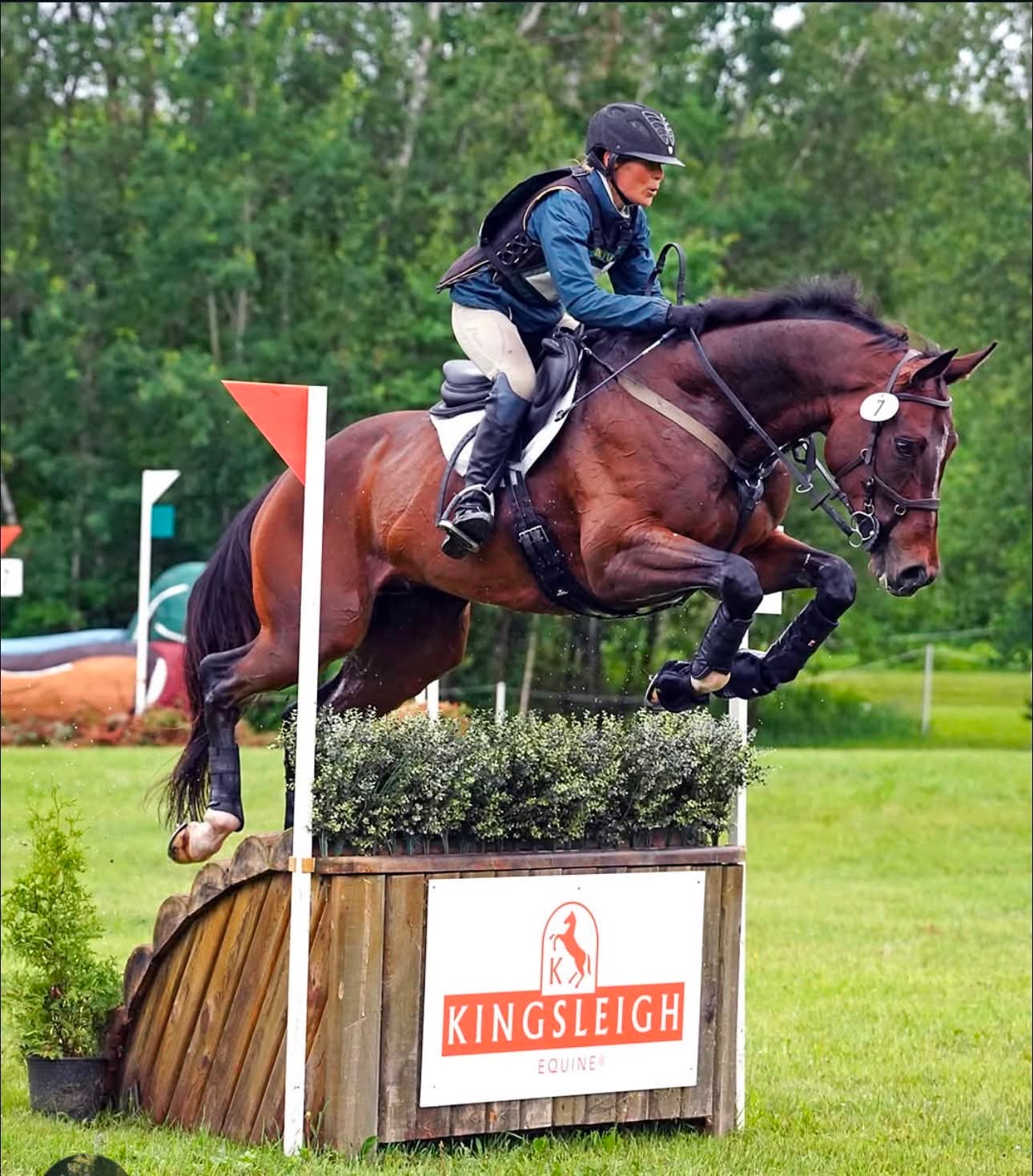 Ready, 2018 OTTB