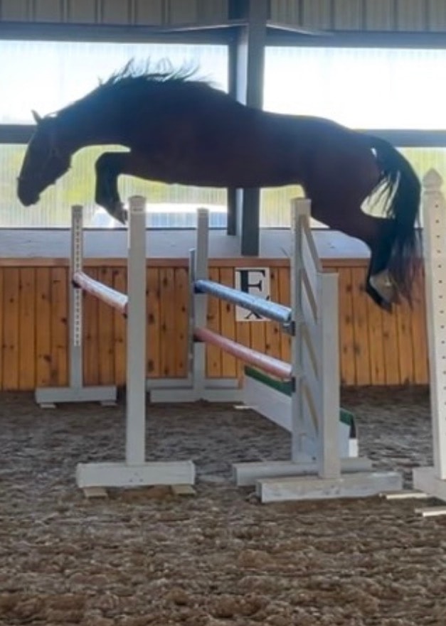 Rio Rock P jumping