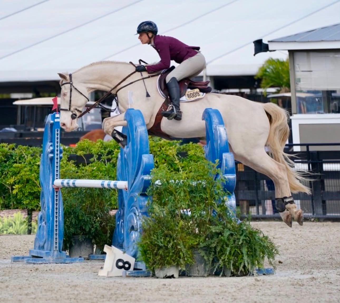 Solana WCF jumping at a show