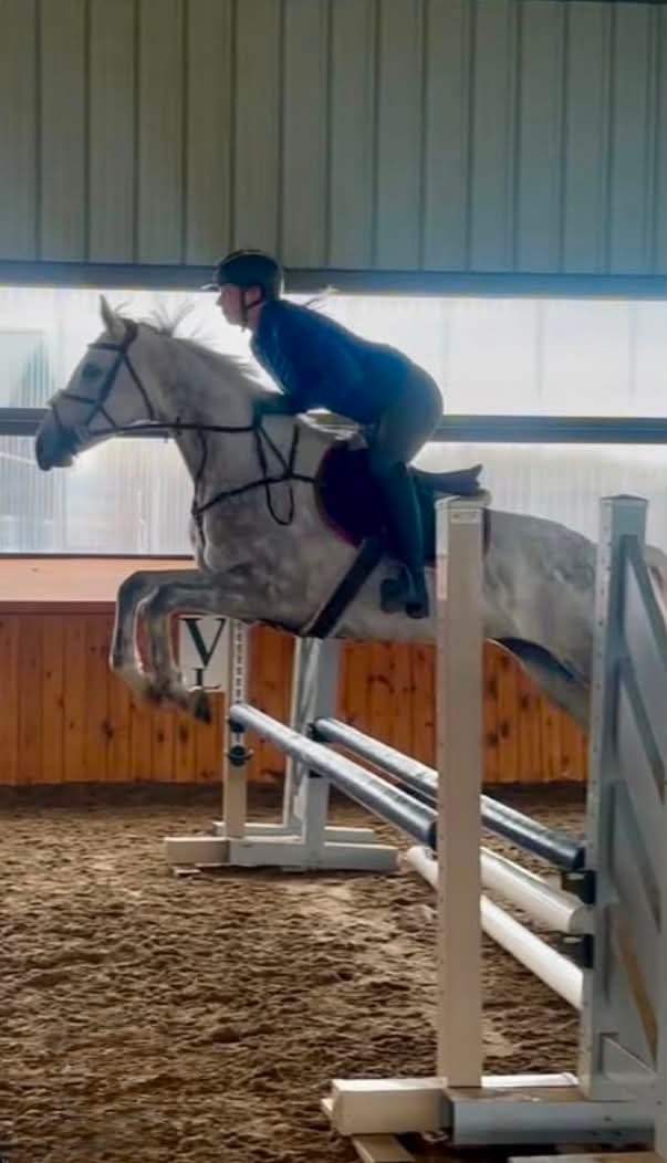 Sugar Twist jumping
