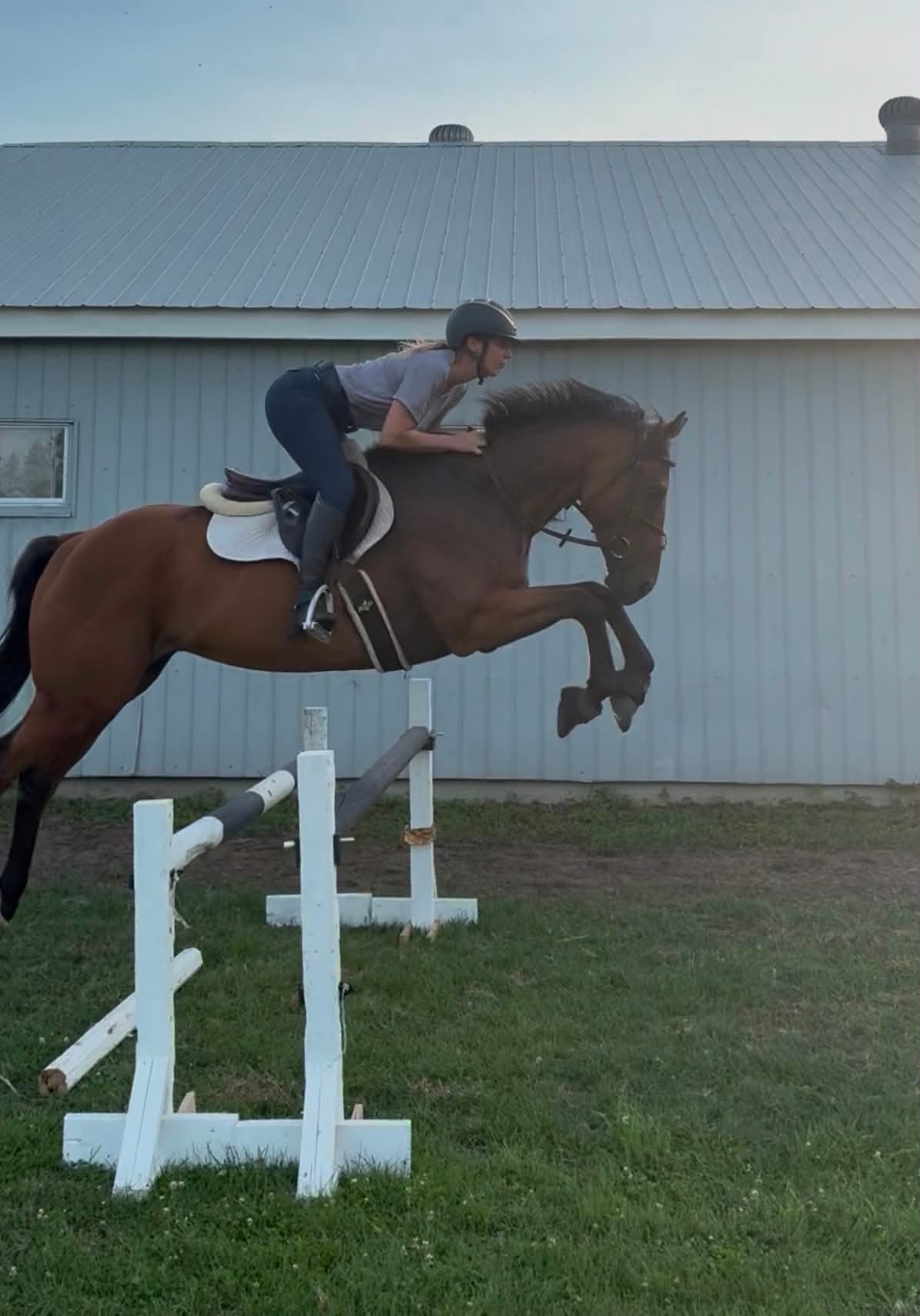 Twisted Authority Boss schooling over a jump
