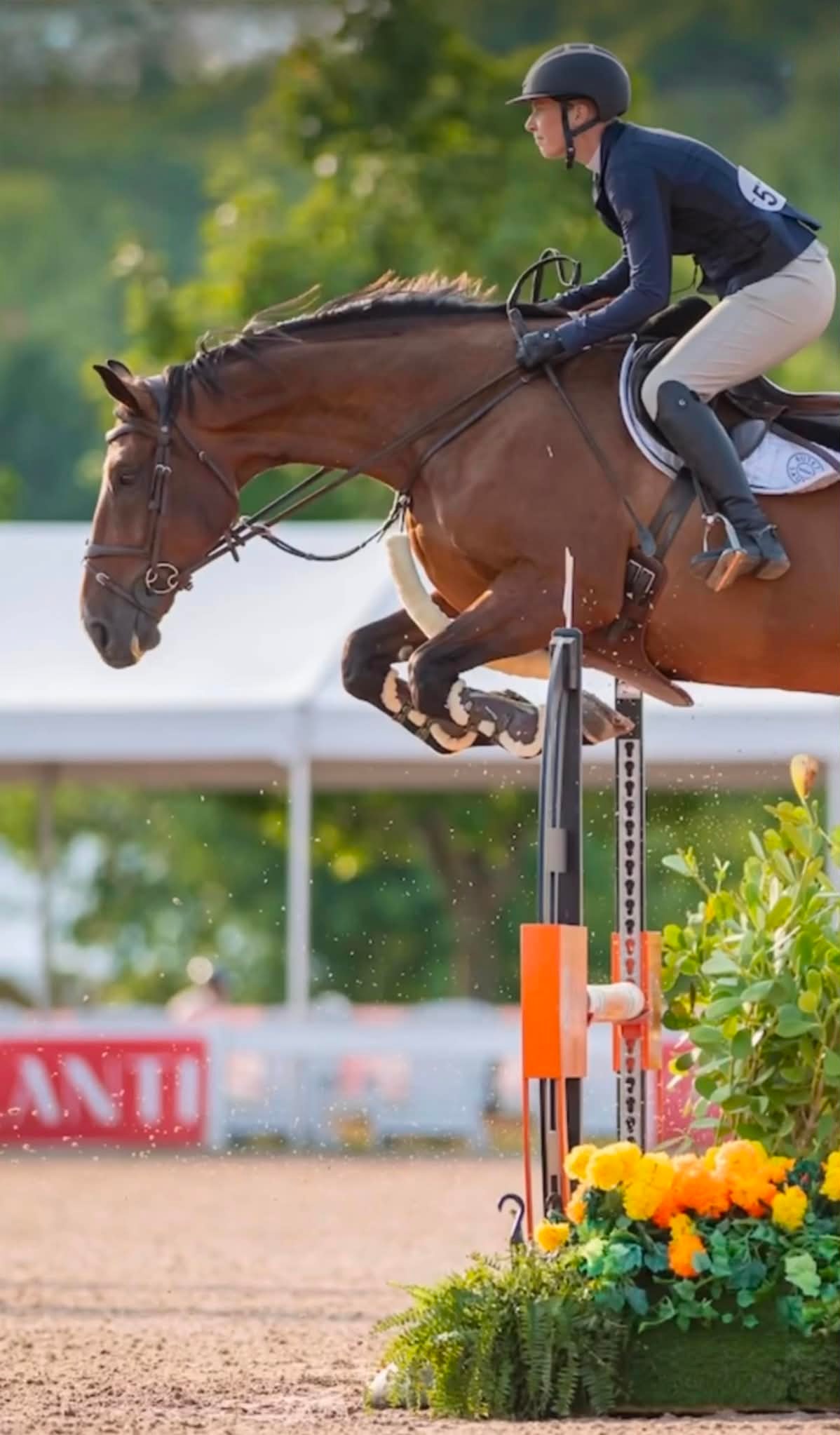 Koho Karu HS jumping at a show