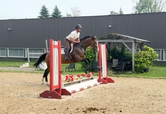 Sven jumping at Twisted Equine