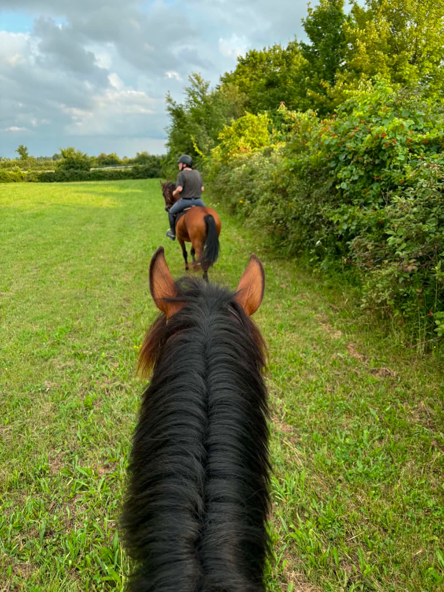 Grass Hacking