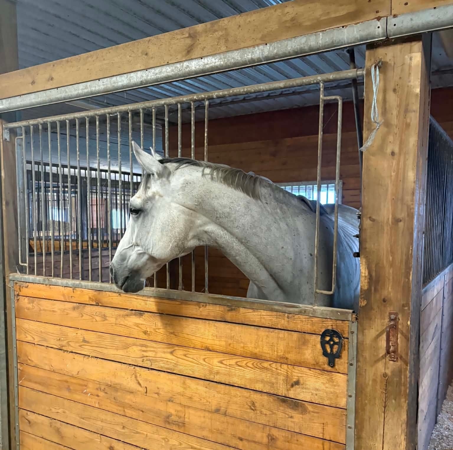 Comfortable Stabling