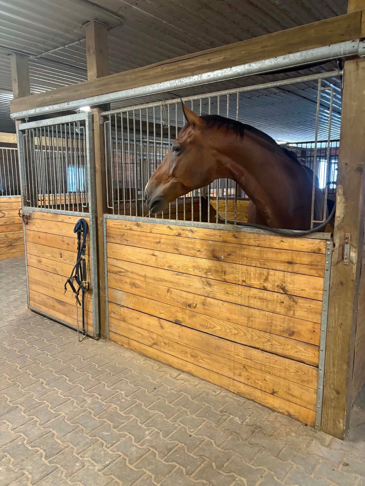 Horse Stall