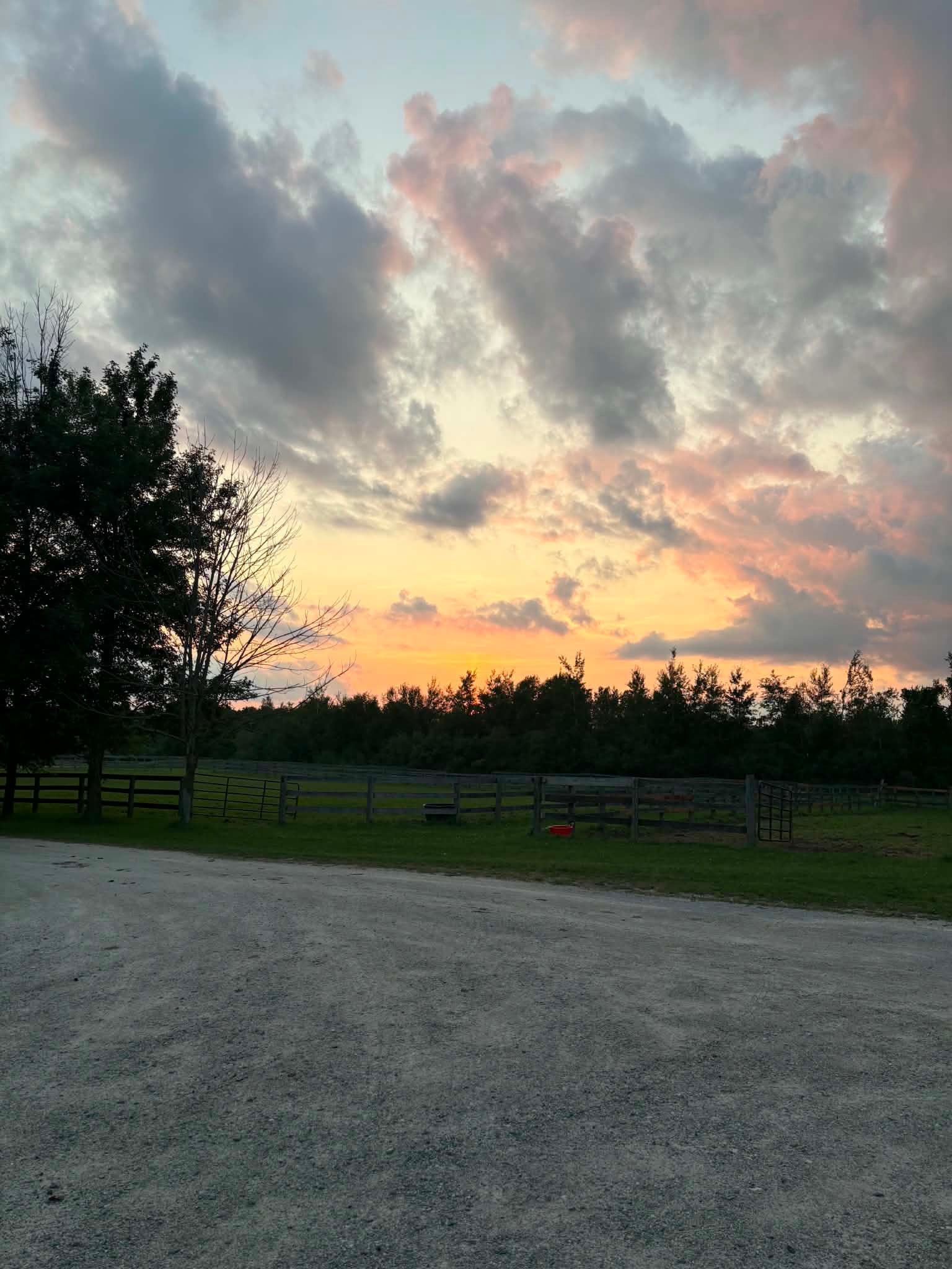 Pasture at Dusk
