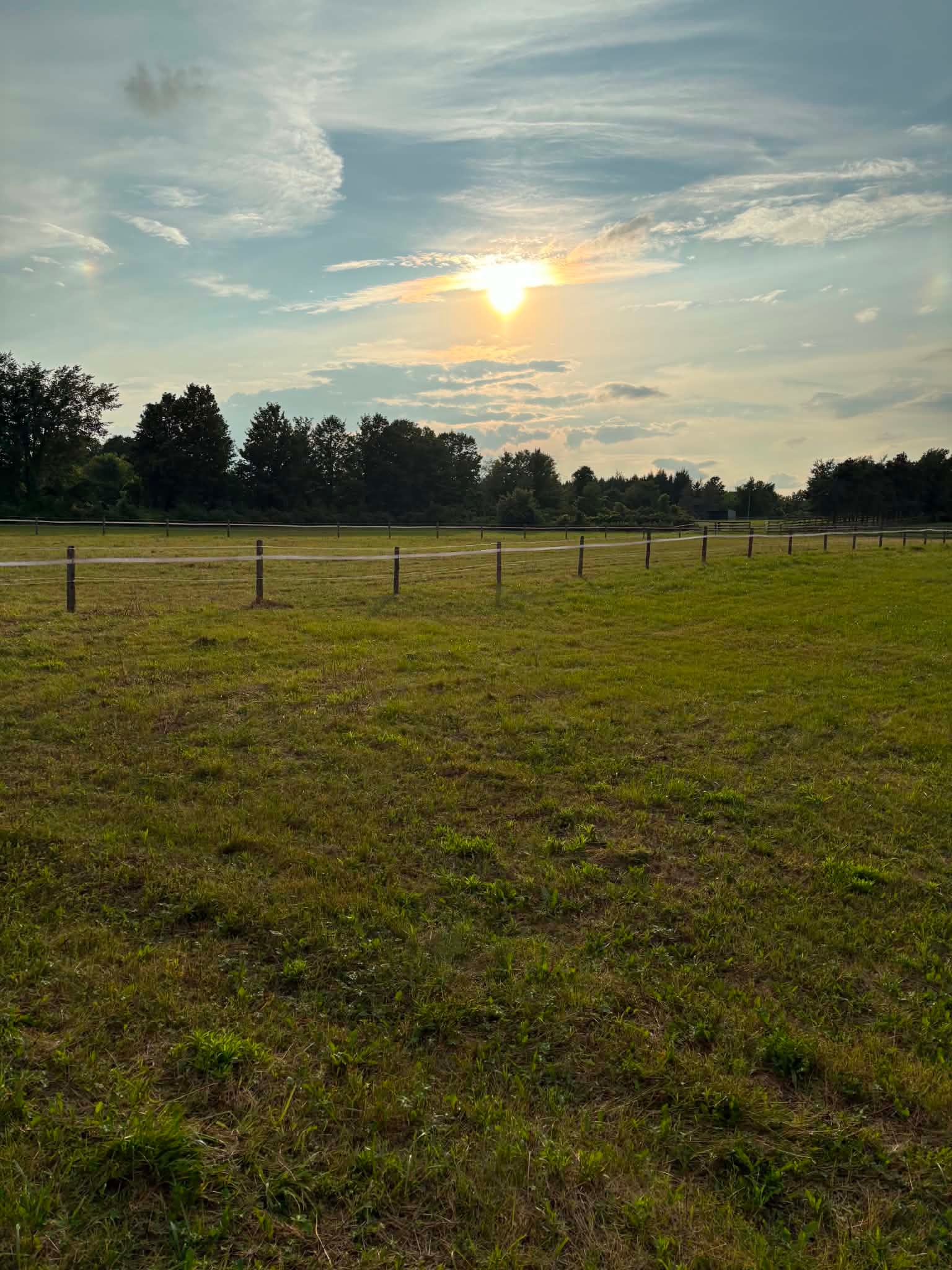 Pasture at Sunset
