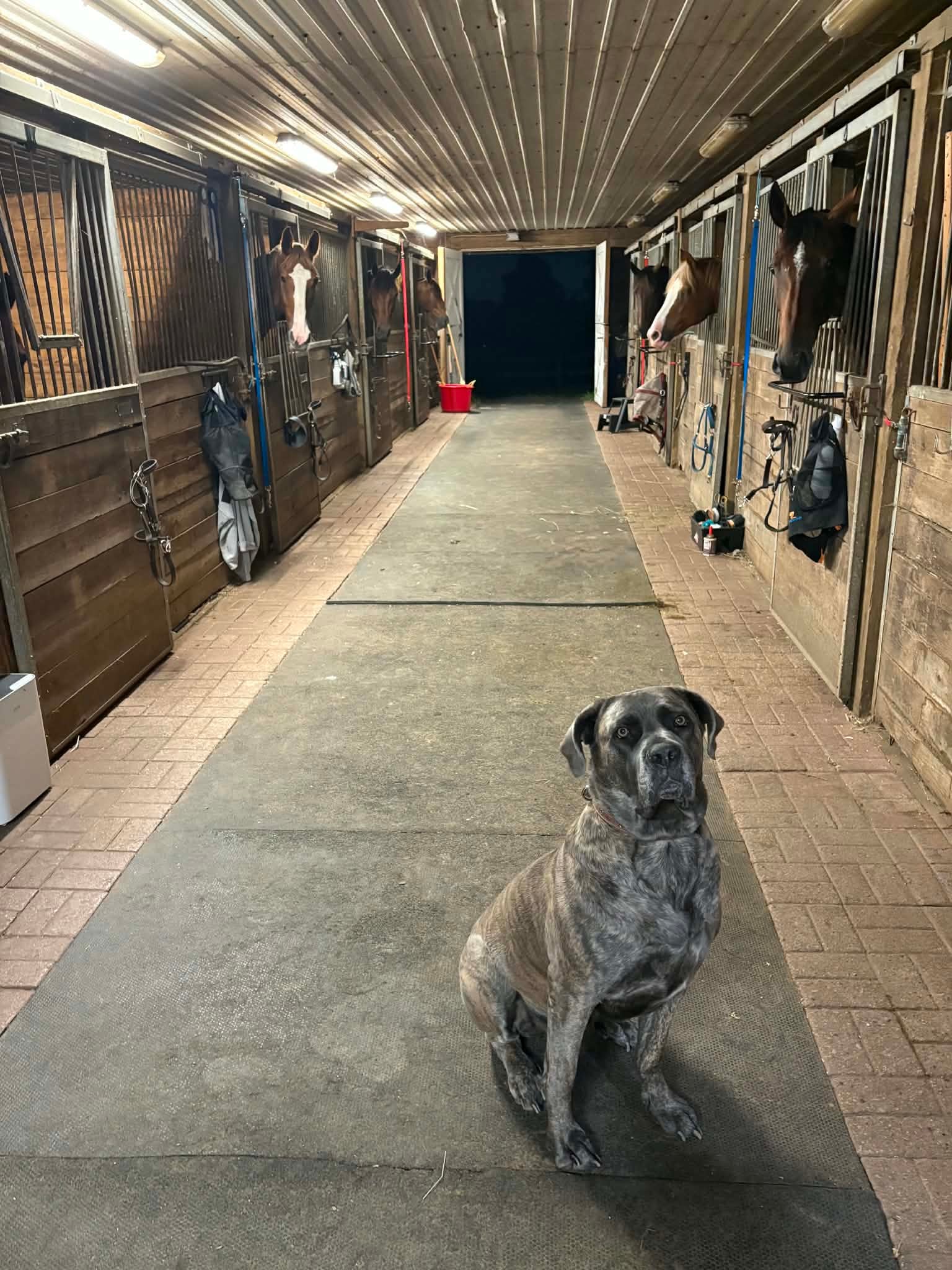 Barn Aisle
