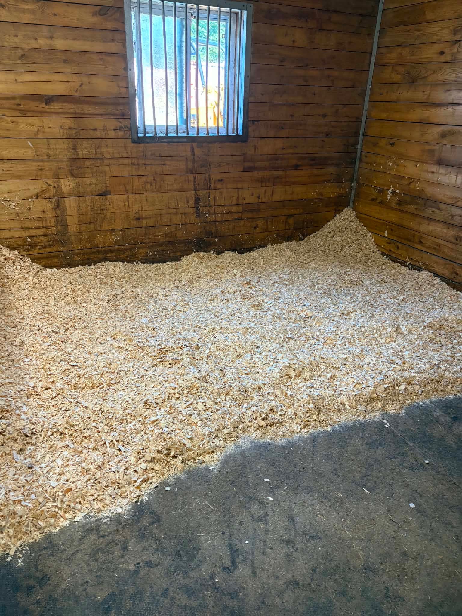 Fresh Bedding