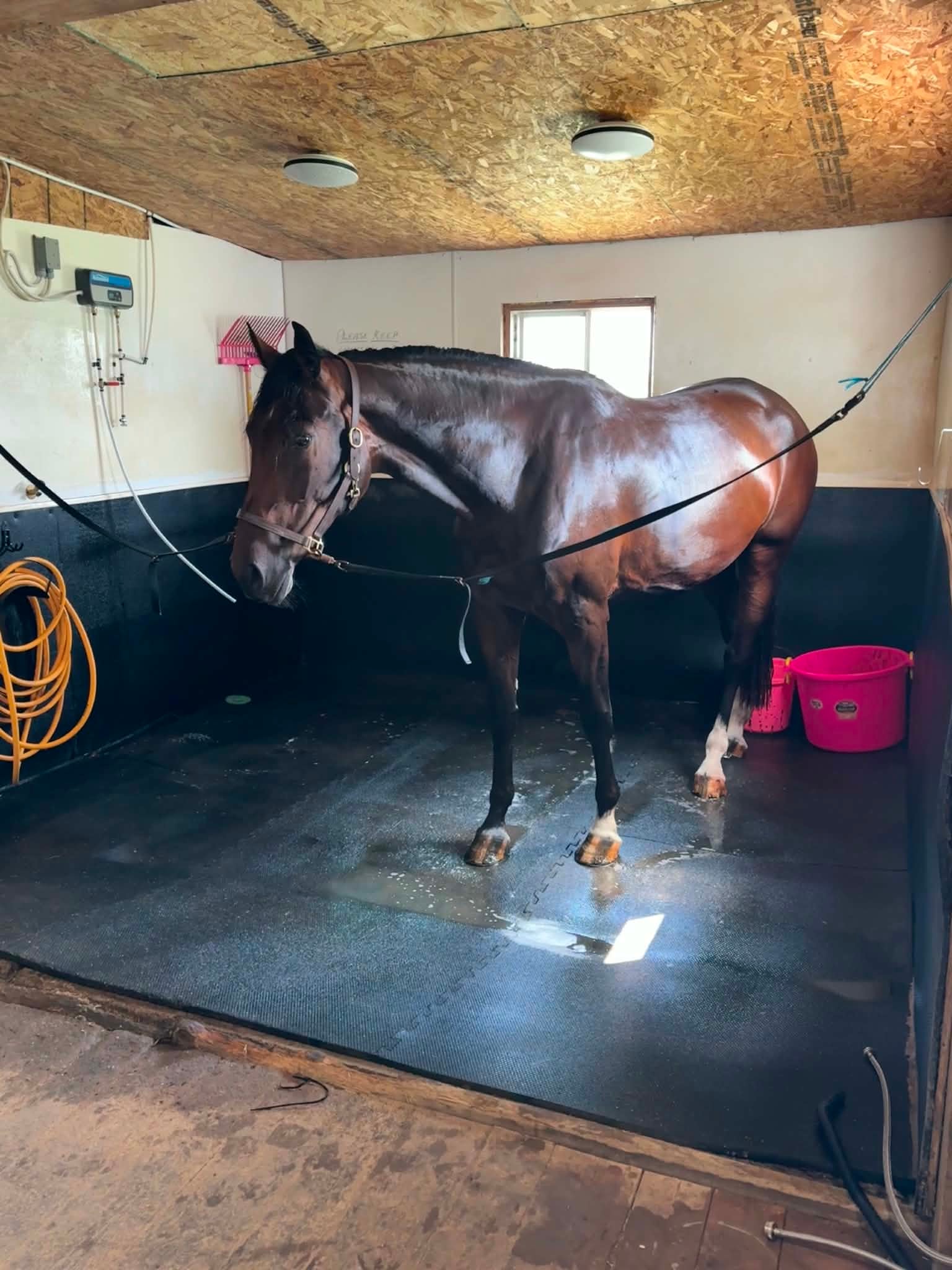 Wash Stall