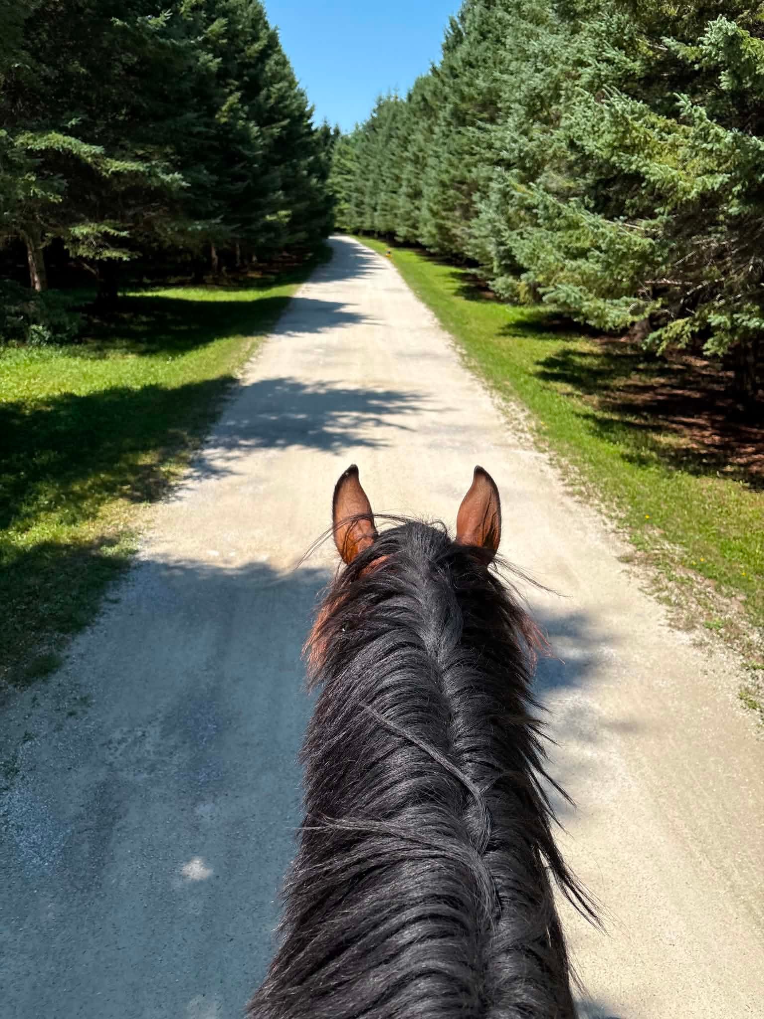 Wooded Hacking Trail