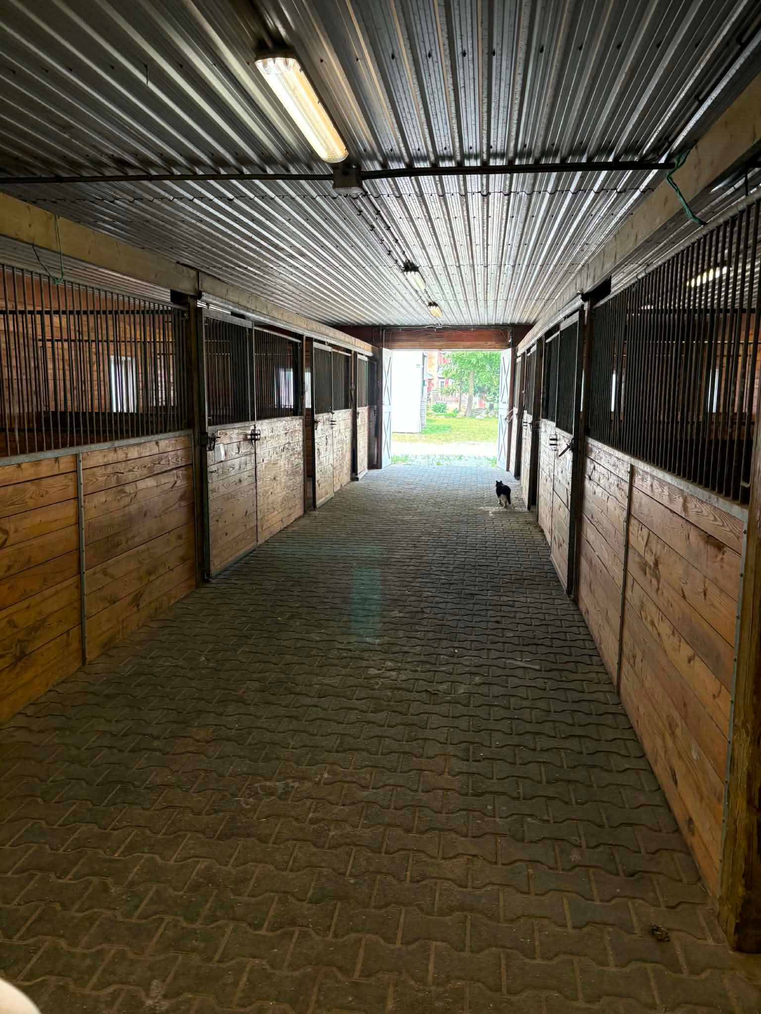 Stabling