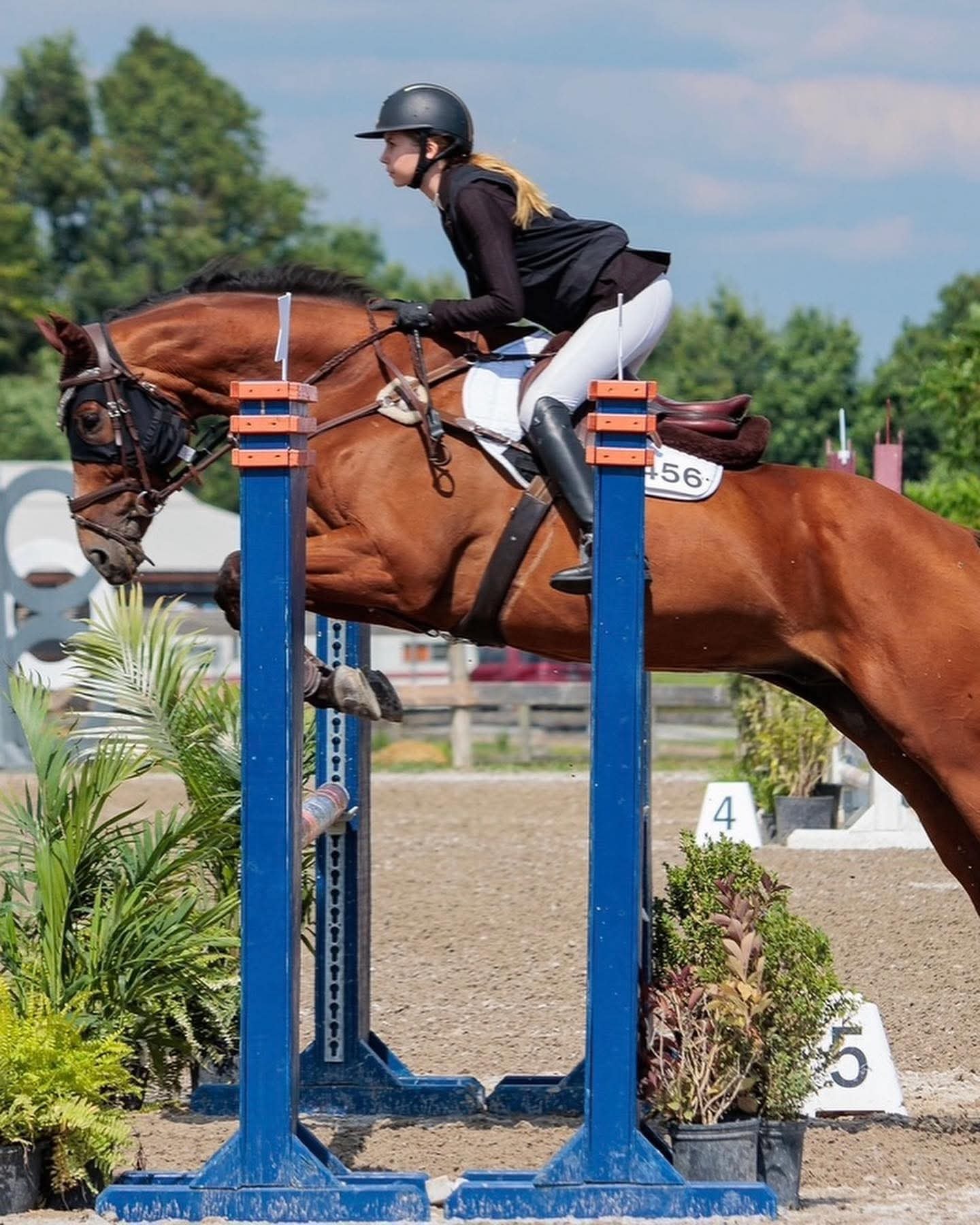 Rider and horse at Twisted Equine