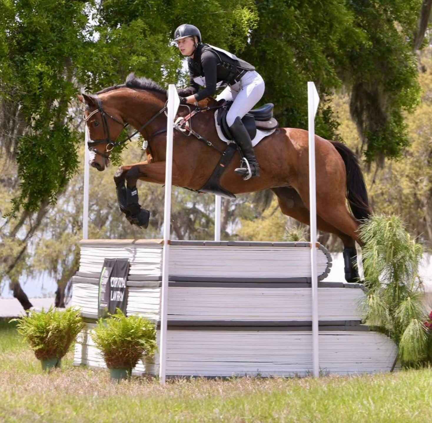 OTTB jumping cross-country at Twisted Equine
